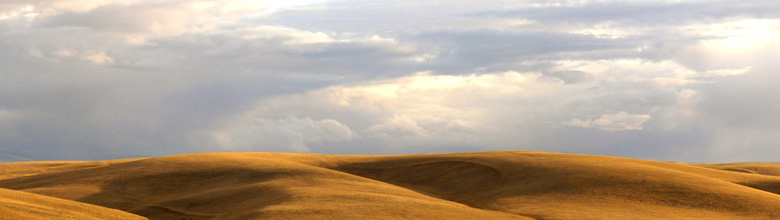 An Eastern Oregon landscape.