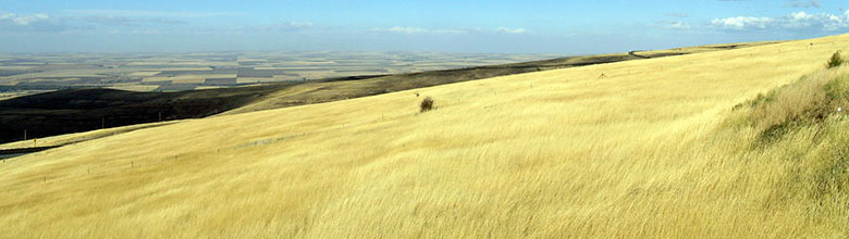 An Eastern Oregon Landscape.